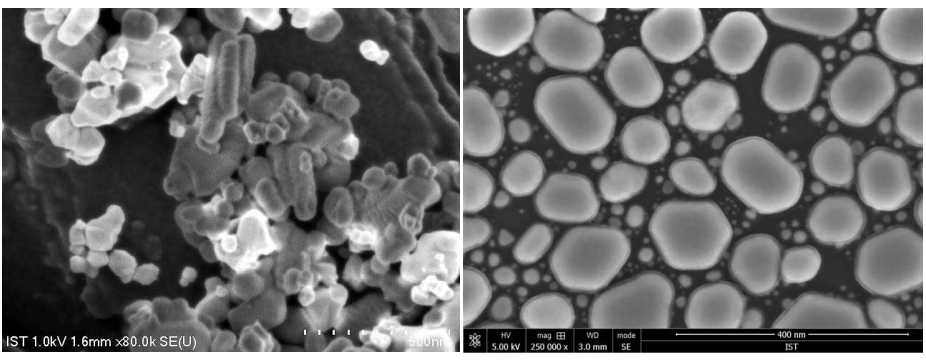 二次電子影像 二次電子影像