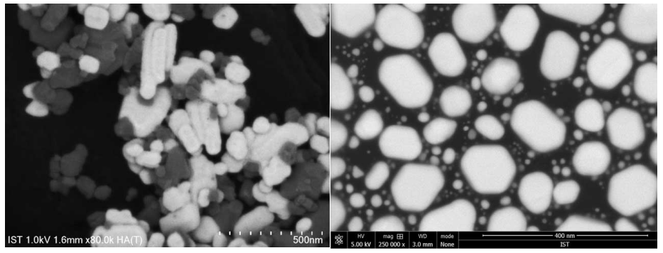 背向散射電子影像 背向散射電子影像